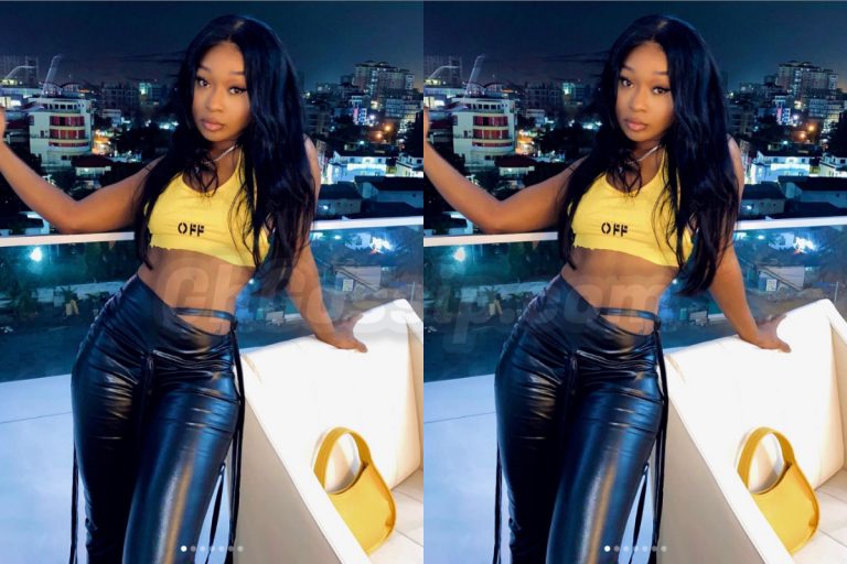 Efia Odo Goes Wild On A Fan; Calls Him ‘Dumb’ For Suggesting She Will Also Be Jailed