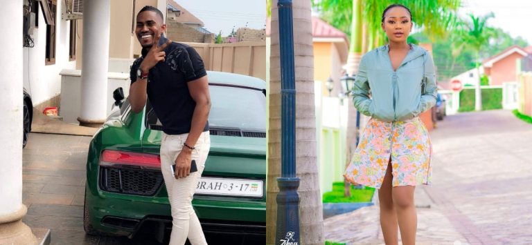 Free Akuapem Poloo And Fix The Light, What Has Her Photo Got To Do With Court-Ibrah One Tells Nana Addo