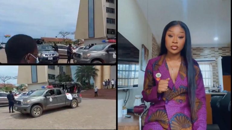 Video Moment Efia Odo Was Arrested And Bundled Together With #FixTheCountry Protestors Into Police Pickup Car