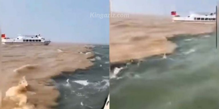 A Rare Video Of The Point On The Mediterranean Sea Between Libya & Italy Where The Water Doesn’t Mix