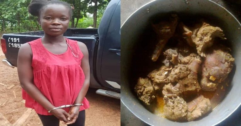 27-Year-Old Lady Stabs Boyfriend To Death Over Refusal To Give Her Grasscutter Meal