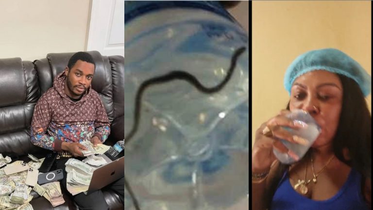 Maame Ng3g3 Shares Photo Of The Alleged Snake Twene Jonas Claims To Be In Afia Schwarzenegger’s Water