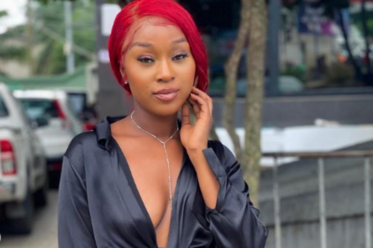 “I Don’t Do Ashawo” – Efia Odo Opens Up On Her Source Of Income (Video)