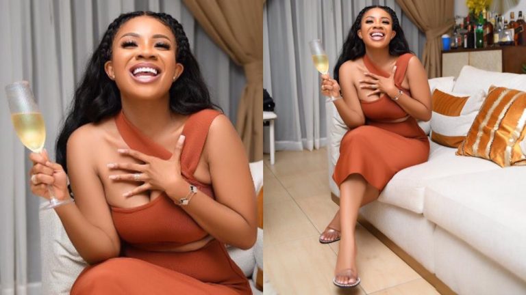 Serwaa Amihere Lands In Hot Soup For Slamming Psalm Adjeteyfio For Blaming His Side Chics For His Predicament