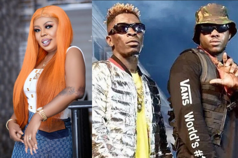 “Turn This Into A Positive Campaign And Educate Your Fans” – Afia Schwarzenegger Tells Shatta Wale And Medikal After They Were Granted Bail