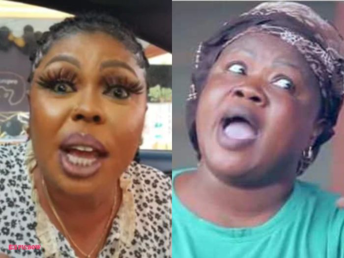 Angry Mercy Asiedu Fires Back At Afia Schwarzenegger After Calling Her A Villager (Video)