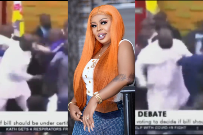 “They Are Fighting For Us, We Should Be Grateful” – Afia Schwarzenegger Reacts To MPs Exchanging Blows In Parliament Over E-Levy