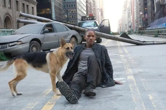 will-smith-to-return-to-screens-after-chris-rock-slap-with-a-sequel-to-am-legend