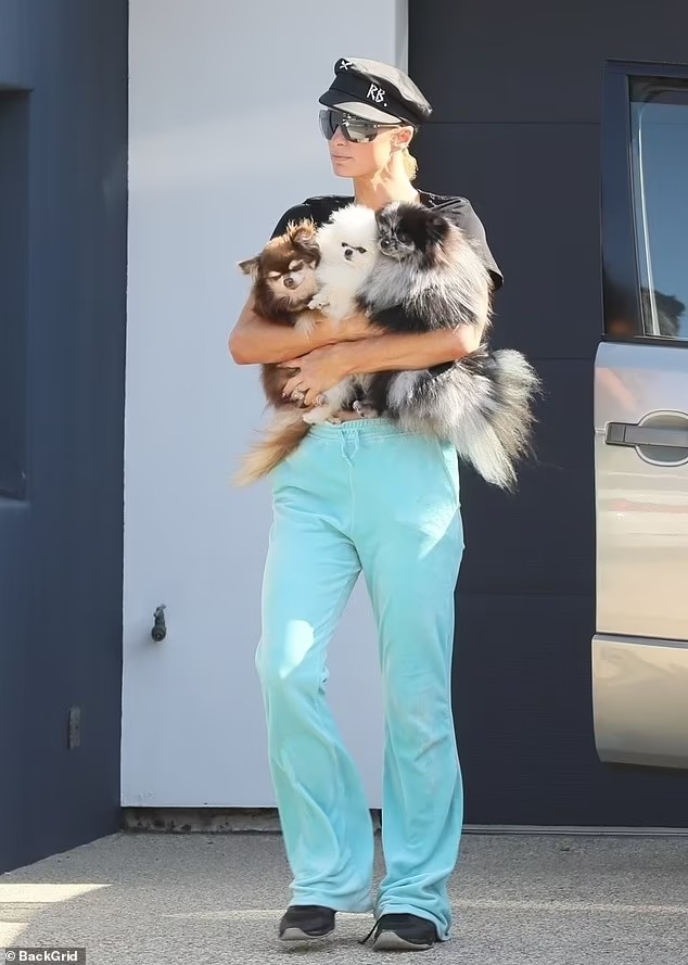 paris-hilton-goes-casual-chic-in-sweatpants-as-she-strolls-in-malibu-with-carter-reum