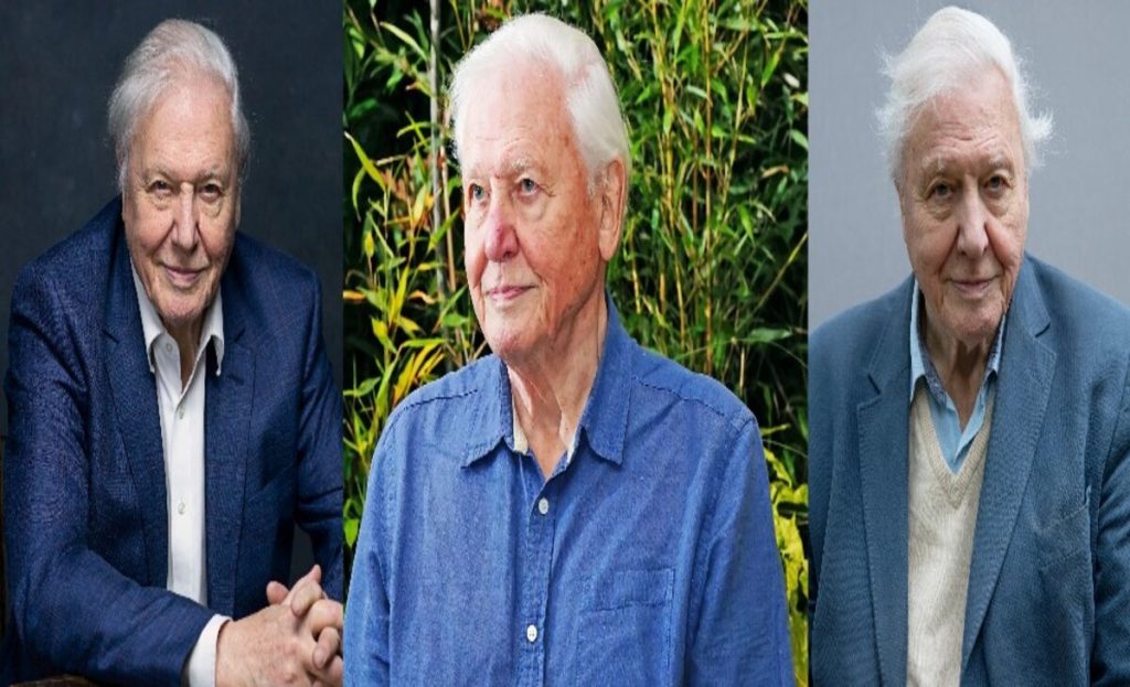 David Attenborough Biography, Age, Net Worth, Wife, Kids, Grandchildren