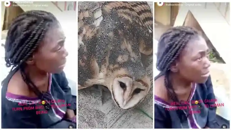 Real Life Witch Caught Turning From Bird To Human Being (Video)